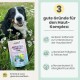 Lächender Berner Sennenhund mit Beutel 'HAUT & FELL KOMPLEX'; rechte Seite mit der Überschrift '3 gute Gründe für den Haut-Komplex' und drei deutschen Vorteilen.