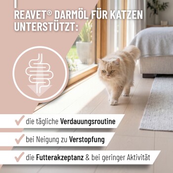 Ein klares Glas, gefüllt mit orangefarbigem Flüssigkeit, das Licht reflektiert, vor einem weißen Hintergrund.