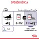 Infografika pokazująca wytyczne dotyczące karmienia dla kota o wadze 4 kg, zalecająca 3,5 puszki Royal Canin "Appetite Control Care" i 42 g suchej karmy dziennie.