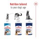 Image of Royal Canin dog food packages for different life stages: Puppy (2-15 months), Adult (15 months-5 years), and Ageing (after 5 years).