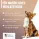 Ein goldbrauner Hund sitzt und schaut nach oben, mit Text, der natürliche Wellness und Zutaten wie Kamille und Fenchel bewirbt, "Hergestellt in Deutschland."