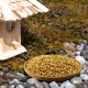 Ein hölzernes Vogelhaus neben einer Schüssel mit goldenem Vogelfutter auf einer felsigen Oberfläche, mit einem kleinen braunen Vogel in der Nähe.