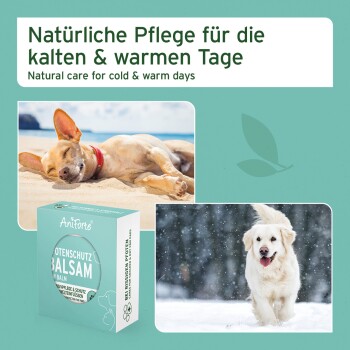 Natürliches Pflegeprodukt für Haustiere für kalte und warme Tage, mit einem schlafenden Hund am Strand und einem verspielten Hund im Schnee.