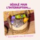 Chat gris se glissant hors d'un panier tressé rempli de sachets d'aliments pour animaux ; texte visible « DÉSOLÉ POUR L'INTERRUPTION... » et « Coco voudrait vous dire bonjour. »