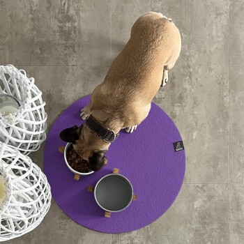 Ein brauner Hund frisst aus einer weißen Schüssel, die mit Trockenfutter gefüllt ist, auf einer runden lila Matte, mit einer zweiten grauen Schüssel in der Nähe.