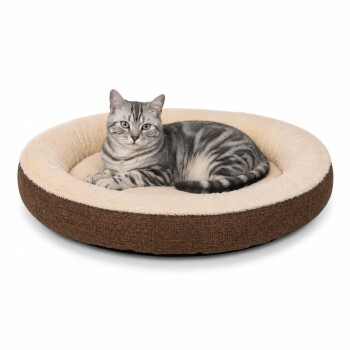 Silbergetigerte Katze mit grünen Augen liegt auf einem runden braun-cremefarbenen Plüsch-Tierbett und blickt in die Kamera.