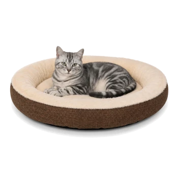 Silbergetigerte Katze mit grünen Augen liegt auf einem runden braun-cremefarbenen Plüsch-Tierbett und blickt in die Kamera.