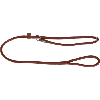 Bruine leren hondenriem met een metalen ring en een lus handvat, weergegeven op een witte achtergrond.