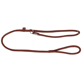 Braune Leder-Hundeleine mit einem Metallring und einem Schlaufenhandgriff, auf einem weißen Hintergrund präsentiert.