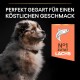 Ein flauschiger braun-weißer Hund schaut seitlich mit dem Text: "Perfekt gegart für einen köstlichen Geschmack" und "Nr. 1 Zutat Lachs."