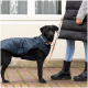 Ein schwarzer Hund in einem blauen Wintermantel steht neben einer Person in einer schwarzen Daunenweste und Jeans, die eine Leine hält.