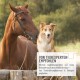 Ein braunes Pferd und ein Hund interagieren im Freien. Text: "VON TIEREXPERTEN EMPFOHLEN" mit Informationen zu hochwertigen Zutaten für Haustiere.