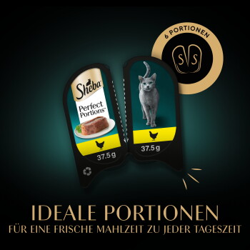 Doppelpack Sheba Perfect Portions Katzenfutter mit einem Teller Nassfutter und grauer Katze, 37,5 g Portionen, Text 'Ideale Portionen.'
