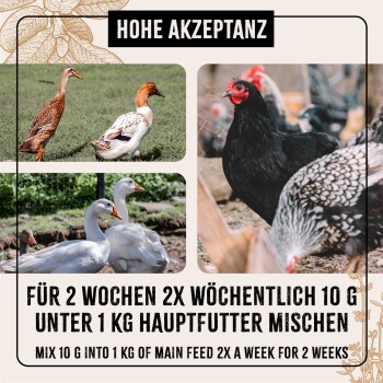Bilder von Enten und Hühnern mit deutschem und englischem Text über das Mischen von 10 g in 1 kg Hauptfutter zweimal wöchentlich für 2 Wochen.
