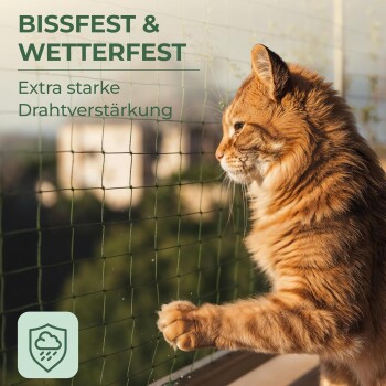 Eine schwarz-weiße Katze mit einem Halsband greift nach einer Hand durch ein netzartiges Fenster. Text: "Katzenschutz mit Stil" und "Natürliche Tarnung."