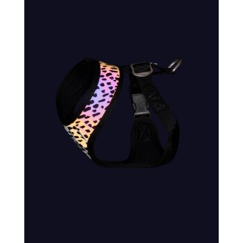 Buntes Leopardenmuster-Haustiergeschirr mit schwarzen Riemen, mit einer verstellbaren Schnalle und einem Metall-D-Ring zur Leinenbefestigung.