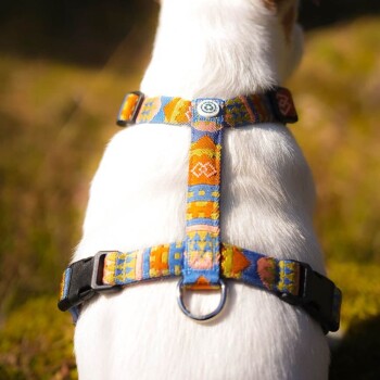 Eine Nahaufnahme des Rückens eines weißen Hundes, der ein farbenfrohes, gemustertes Geschirr mit blauen, orangefarbenen und gelben Designs trägt, vor einem natürlichen Hintergrund.