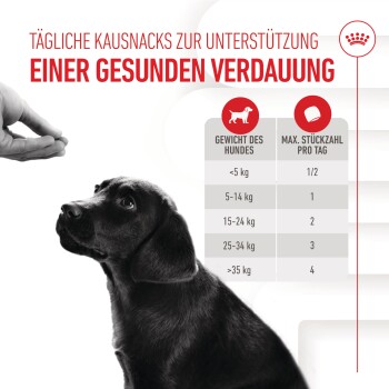 Ein schwarzer Hund schaut auf eine Hand, die ein Leckerli anbietet, mit Text über gesunde Snacks und einer Tabelle für empfohlene Mengen nach Hundegewicht.