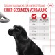 Ein schwarzer Hund schaut auf eine Hand, die ein Leckerli anbietet, mit Text über gesunde Snacks und einer Tabelle für empfohlene Mengen nach Hundegewicht.