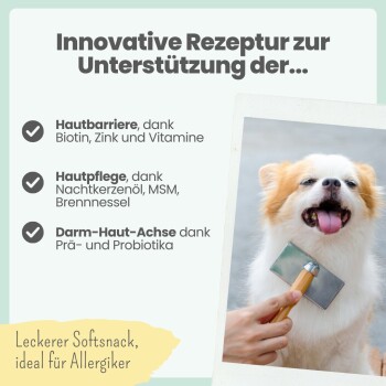 Kleiner weiß-brauner Hund wird gebürstet; deutscher Text: 'Innovative Rezeptur...' und 'Leckerer Softsnack, ideal für Allergiker'.