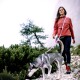 Eine Frau führt einen grau-weißen Husky an der Leine durch eine felsige, grüne Landschaft, trägt eine pinke Fleecejacke und schwarze Hosen.