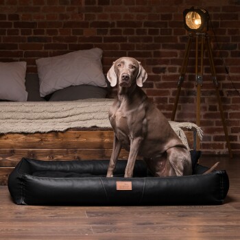 Ein grauer Weimaraner-Hund sitzt in einem stilvollen schwarzen Haustierbett in einem gemütlichen Raum mit Ziegelwand, Holzmöbeln und weichen Kissen.