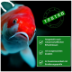 Nahaufnahme eines rot-weißen Koi-Fisches mit einem grünen 'GETESTET'-Stempel, der die wissenschaftliche Formulierung und die Zusammenarbeit mit Experten betont.