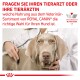 Ein Tierarzt untersucht einen hellgrauen Hund mit blauen Augen mit einem Stethoskop. Text empfiehlt, einen Tierarzt über ROYAL CANIN® Hundefutter zu konsultieren.