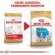 Vergleich von Royal Canin Hundefutter: Junior Dalmatiner links, Puppy Dalmatiner rechts, zeigt neues Design und Rezept.