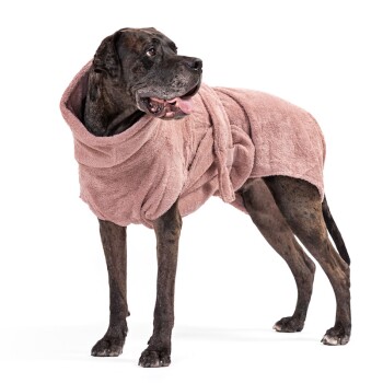 Ein schwarz gestromter Hund, der einen weichen, rosa, kapuzenartigen Handtuch-Roben trägt, steht vor einem weißen Hintergrund und sieht zufrieden aus.
