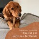Ein Golden Retriever kaut auf einem Kaffeestick auf einem grauen Sofa. Text: "Robust und langlebig Kaustab aus Kaffeeholz für Hunde."