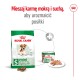 Opakowanie karmy dla zwierząt Royal Canin dla małych psów (do 10 kg, wiek 12+) z suchą i mokrą karmą, promujące mieszane posiłki.