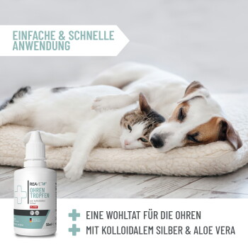 Lächelnder cremefarbener Golden Retriever, eine Hand streichelt sein Ohr; Einblendung „MIT EXPERTEN ENTWICKELT“ mit deutscher Produktbeschreibung.
