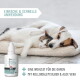 Lächelnder cremefarbener Golden Retriever, eine Hand streichelt sein Ohr; Einblendung „MIT EXPERTEN ENTWICKELT“ mit deutscher Produktbeschreibung.