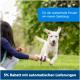 Eine Person spielt mit einem weißen Hund in einem Park und hält ein lila Spielzeug. Text: "Für die Freude am neuen Spielzeug" und "5% Rabatt mit Lieferungen."