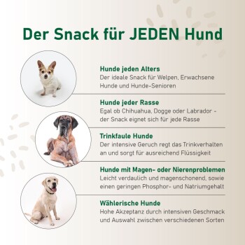 Eine Flasche SmoothieDog Hühnersnack für Hunde, umgeben von frischen Zutaten wie Karotten, Birne, Kürbis und Hühnerbrust.