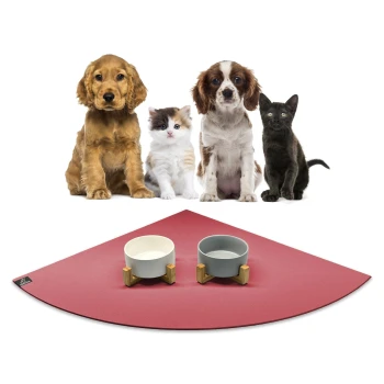 Vier Haustiere, darunter zwei Hunde, eine Katze und ein schwarzes Kätzchen, sitzen vor einer roten Fressmatte mit zwei Schüsseln.