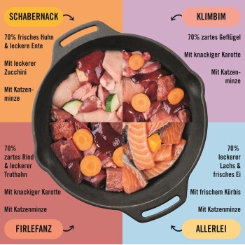 Eine gusseiserne Pfanne mit vier Abschnitten für Hundefutter: "Schabernack," "Klimbim," "Firlefanz" und "Allerlei," jeweils mit Zutaten beschriftet.