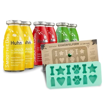 Klassik 6x 250 ml + Eiswürfelform Drei bunte Flaschen beschriftet mit "Huhn," "Rind" und "Lamm," die natürliche Zutaten fördern, neben einer grünen, hundethemen Eiskubusform.