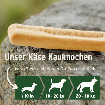 Käse Kauknochen für Hunde auf einem Stein abgebildet, mit Text, der die verfügbaren Größen angibt: <10 kg, 10-20 kg, 20-30 kg.