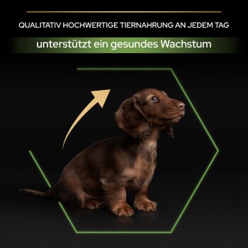 Ein braunes Welpen auf einem schwarzen Hintergrund mit dem Text: "Qualitativ hochwertige Tiernahrung an jedem Tag" und "unterstützt ein gesundes Wachstum."