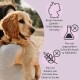Eine Person, die einen Golden Retriever Welpen hält, mit Text, der hochwertiges Haustierfutter aus Deutschland hervorhebt, frei von ungesunden Zusatzstoffen und Gluten.