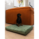 Ein kleiner schwarzer Hund sitzt auf einem grünen Hundebett in einem modernen Wohnzimmer, mit einer orangefarbenen Couch im Hintergrund und abstrakter Kunst an der Wand.