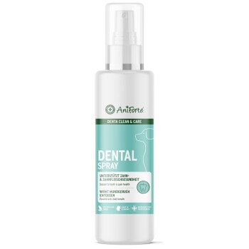 Dentalspray Zahnpflege Spray 100ml
