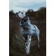 Hundemantel Winter Grau S