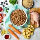A bowl of pet food made from ground meat and vegetables, surrounded by fresh ingredients like carrots, potatoes, peas, and fruits.