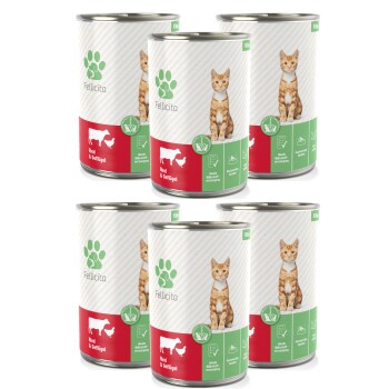 Sechs Dosen Katzenfutter "Fellicita" mit einer verspielten orangefarbenen Tabby auf rotem und grünem Verpackungsdesign für Rind- und Geflügelgeschmack.