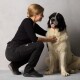 Dog Walker Shell-Hose Unisex Schwarz Regular Viggo 44 - EU