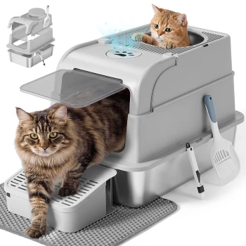 Grau überdachte Katzentoilette mit Einstieg von oben und Stufe, zwei Katzen (eine oben im Inneren, eine geht vorne hinaus), Schaufel und Matte.
