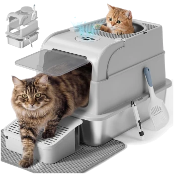 Grau überdachte Katzentoilette mit Einstieg von oben und Stufe, zwei Katzen (eine oben im Inneren, eine geht vorne hinaus), Schaufel und Matte.